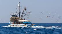 Il distretto di pesca nord Adriatico